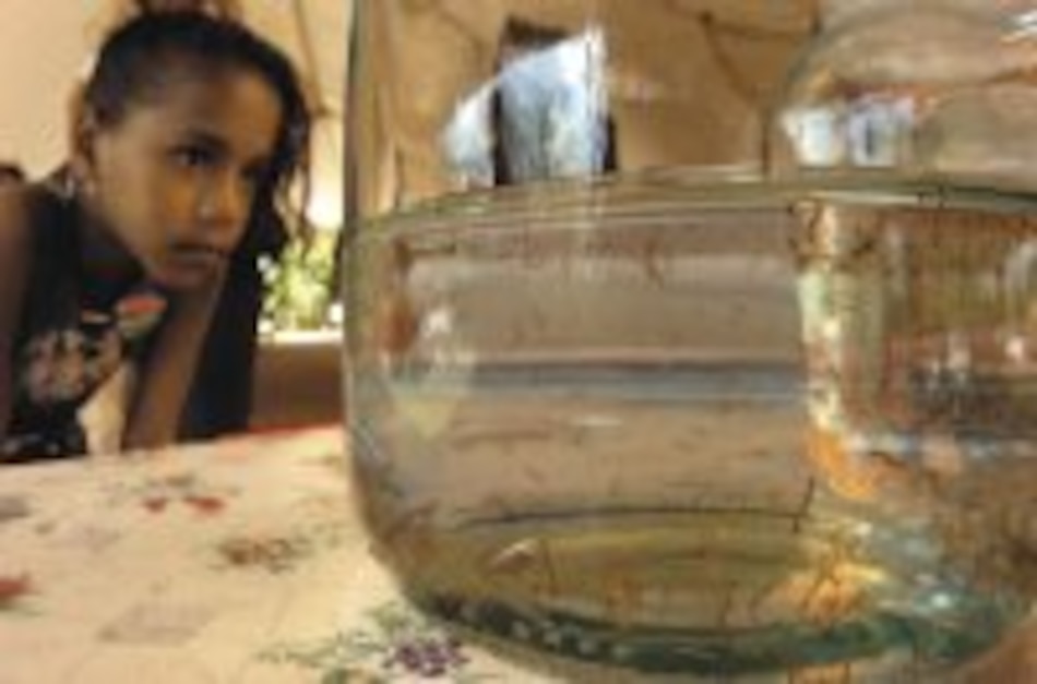 El tigre volador acecha