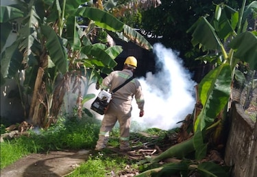 Epidemiología del Minsa registra 1,634 casos de dengue en 2022