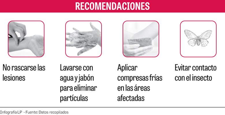 El Minsa confirma más de 100 casos de lesiones en la piel por pelusa de mariposa