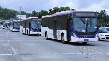 MiBus brindará transporte gratuito para el partido Panamá ante Honduras