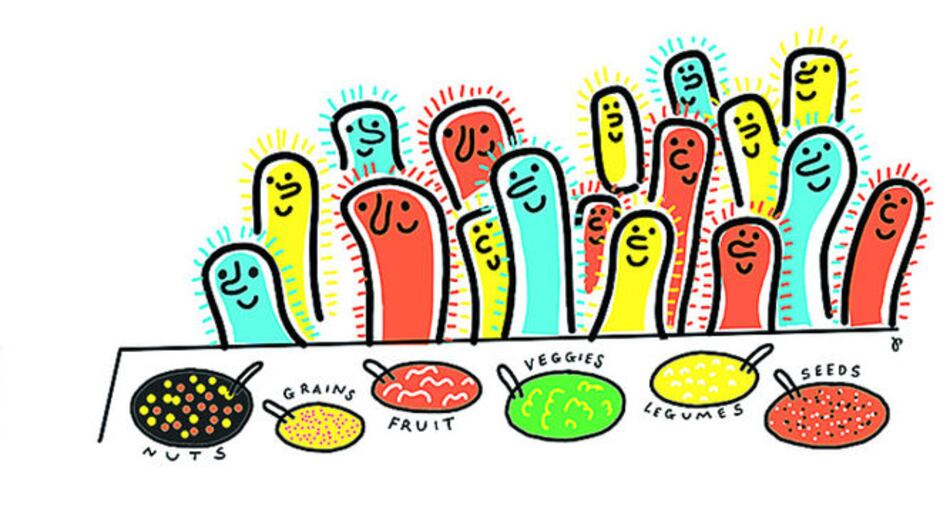 Flora intestinal y nuevos tratamientos