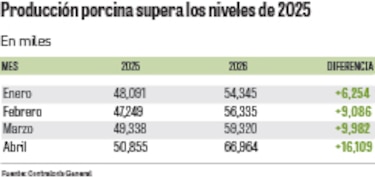 De sobrevivir a las importaciones a buscar mercados para exportar: el giro de la industria porcina panameña