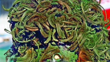 Estampas del Carnaval de ayer