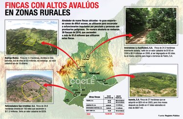 Vinculan a funcionarios a red para estafar al Estado