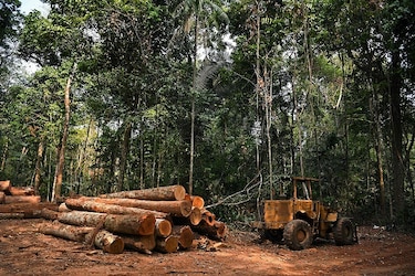Brasil registra deforestación récord en la Amazonía en últimos 15 años