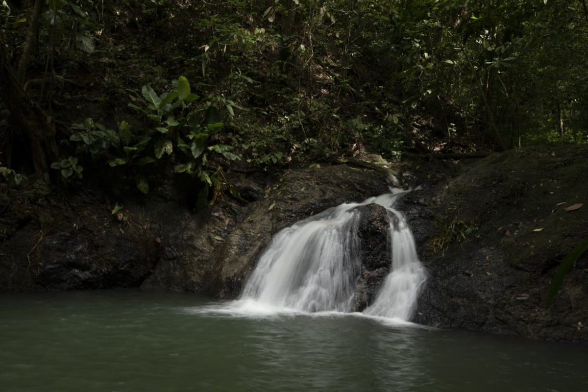 El agua, motor invisible del Canal y de la economía