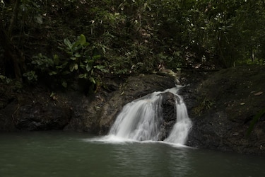 El agua, motor invisible del Canal y de la economía