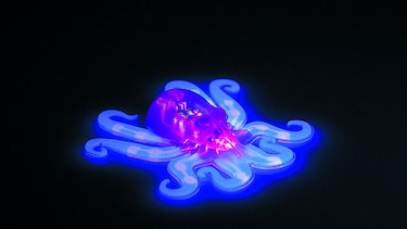 Octobot, robot suave y barato