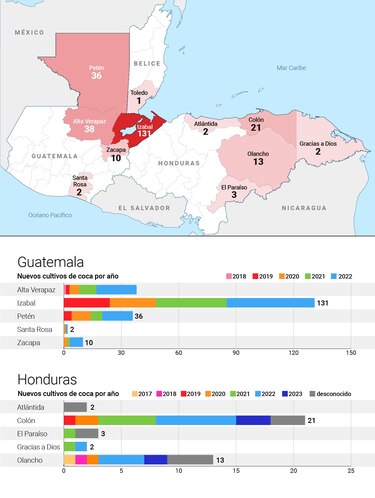 Cómo la producción de la droga se extiende a Centroamérica y Europa