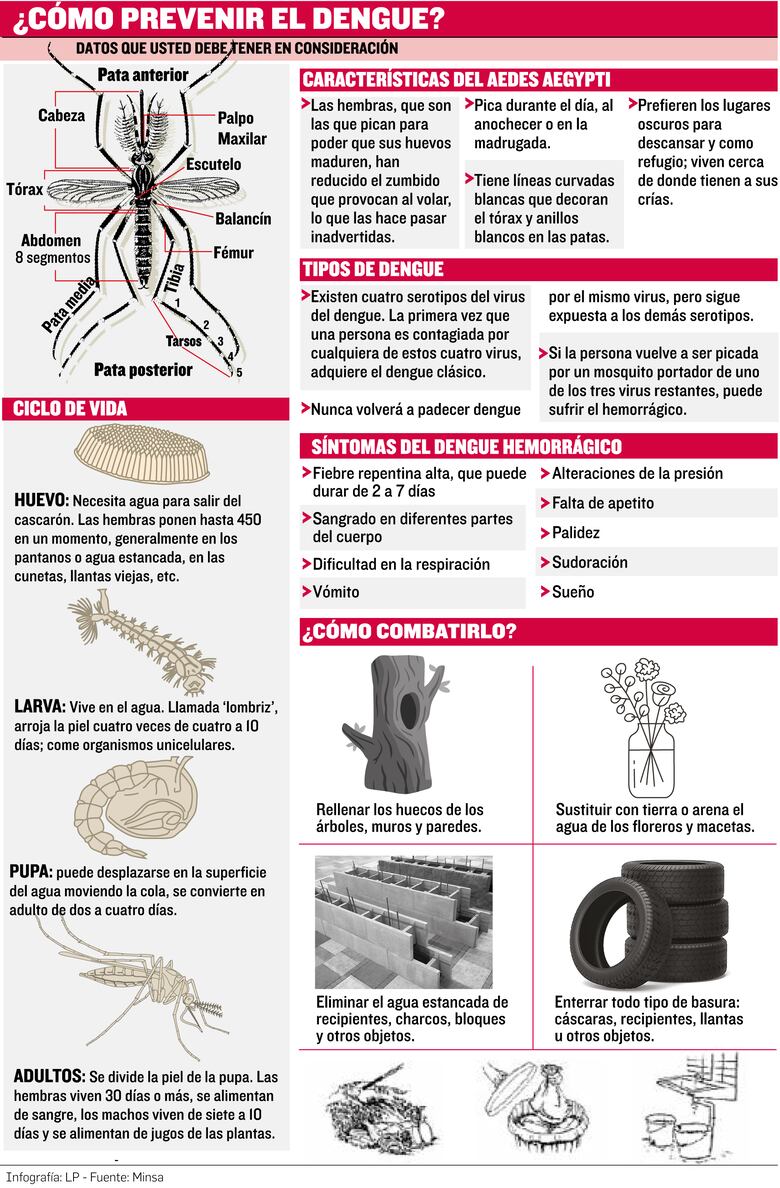 Vacuna del dengue: Panamá la estudia, la OMS la aprueba, pero aún no llega al país