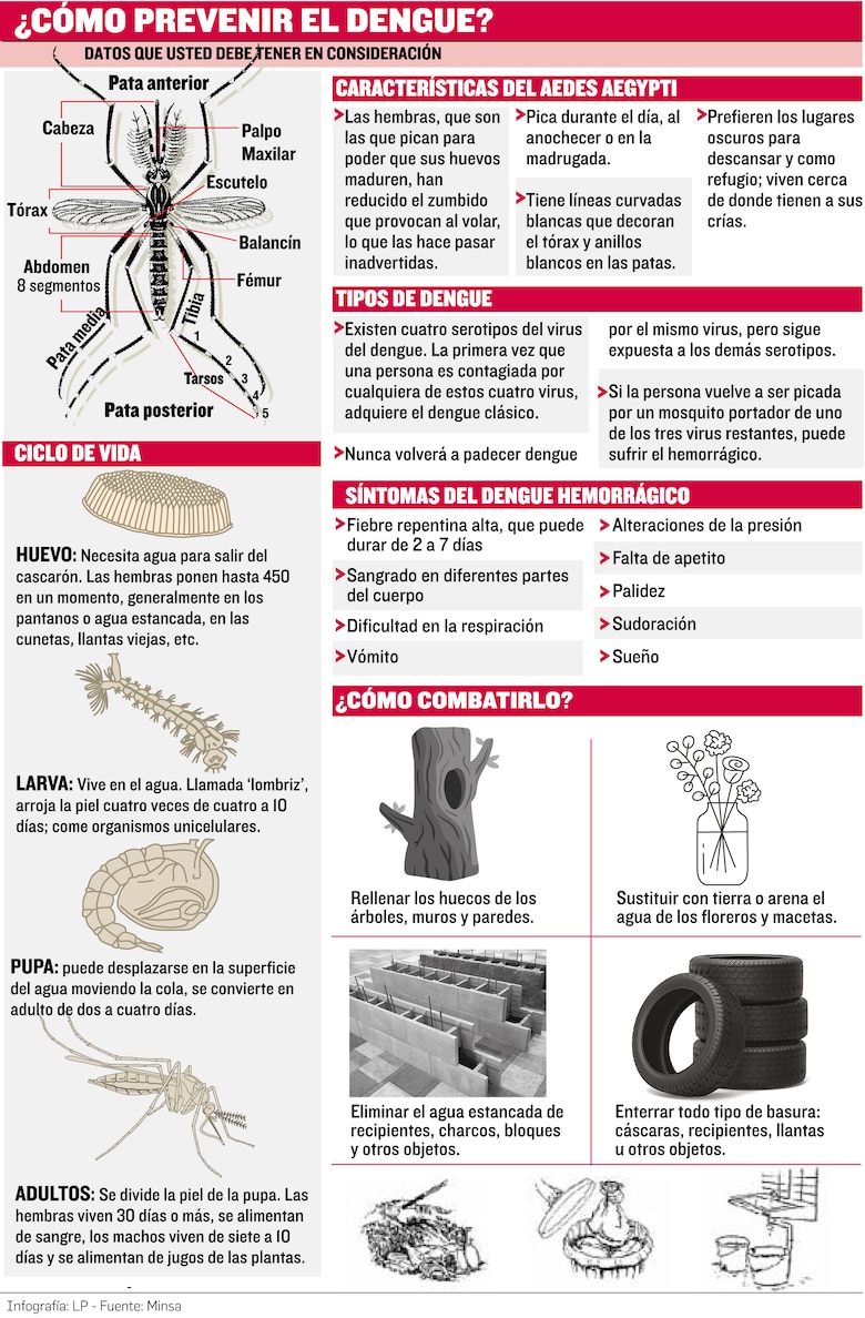 Vacuna del dengue: Panamá la estudia, la OMS la aprueba, pero aún no llega al país