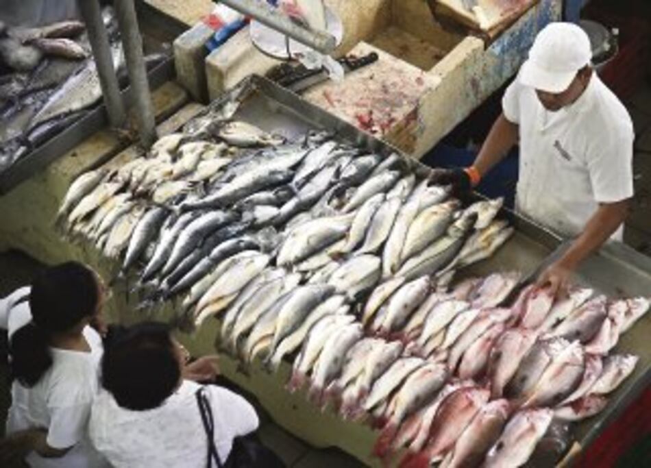 Cae producción en Chile