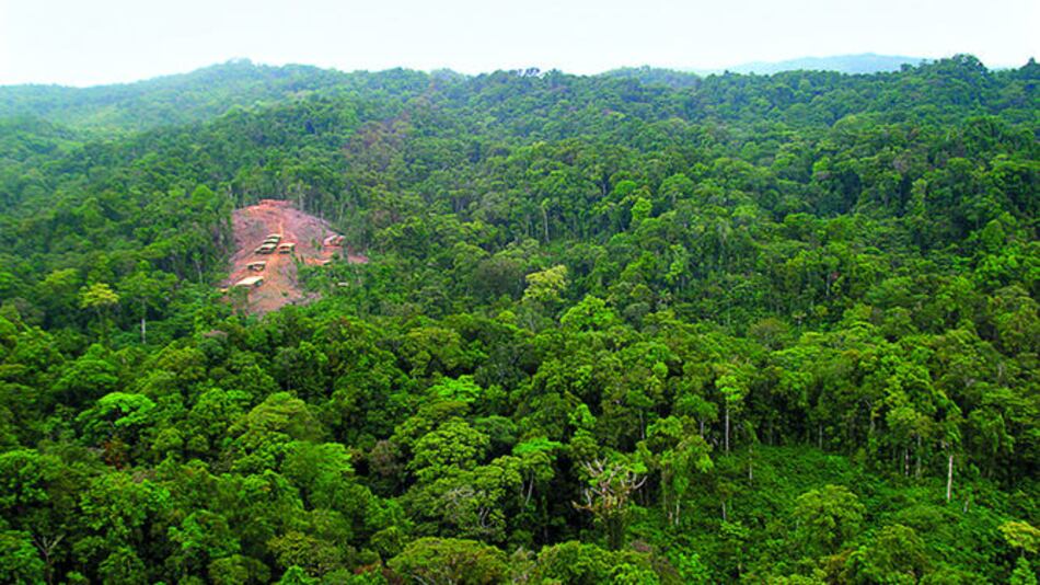 Más voces contra la segregación de Donoso