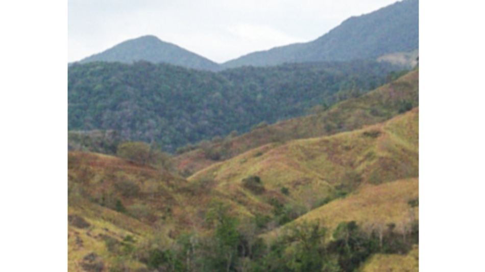 Anteproyecto para titular El Montuoso va a subcomisión