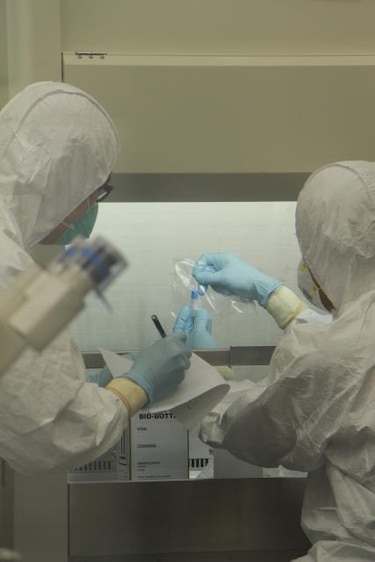 Ascienden a 20 las muertes por la nueva cepa de gripe aviar H7N9 en China