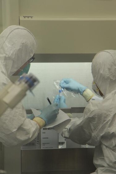 Ascienden a 20 las muertes por la nueva cepa de gripe aviar H7N9 en China