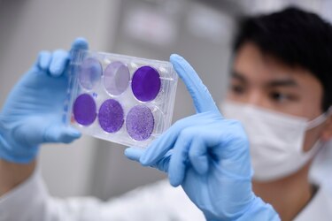 Brasil cierra millonario acuerdo para crear una vacuna contra la Covid-19, producida en Oxford