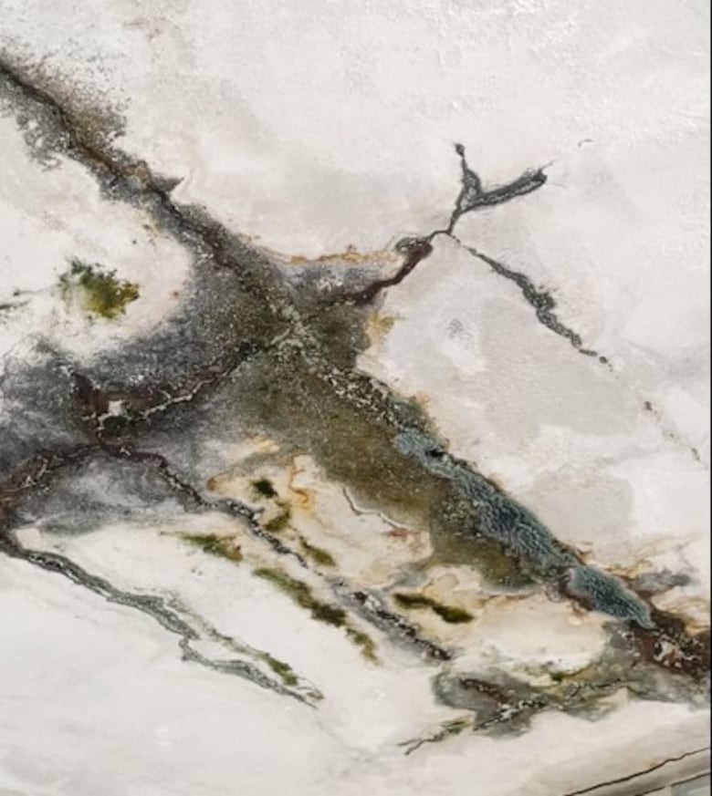 La crisis oculta de las escuelas públicas: estructuras en ruinas y estudiantes en riesgo