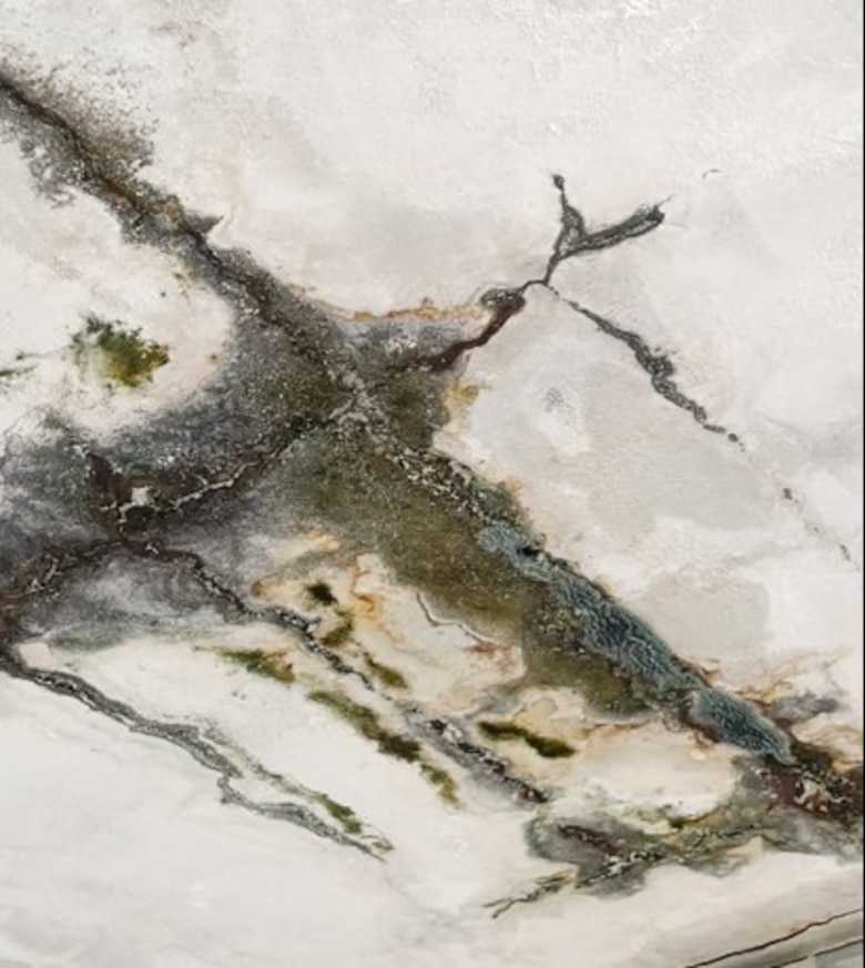 La crisis oculta de las escuelas públicas: estructuras en ruinas y estudiantes en riesgo