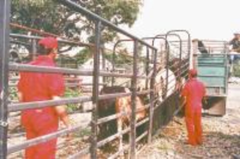 COPEG asume responsabilidad