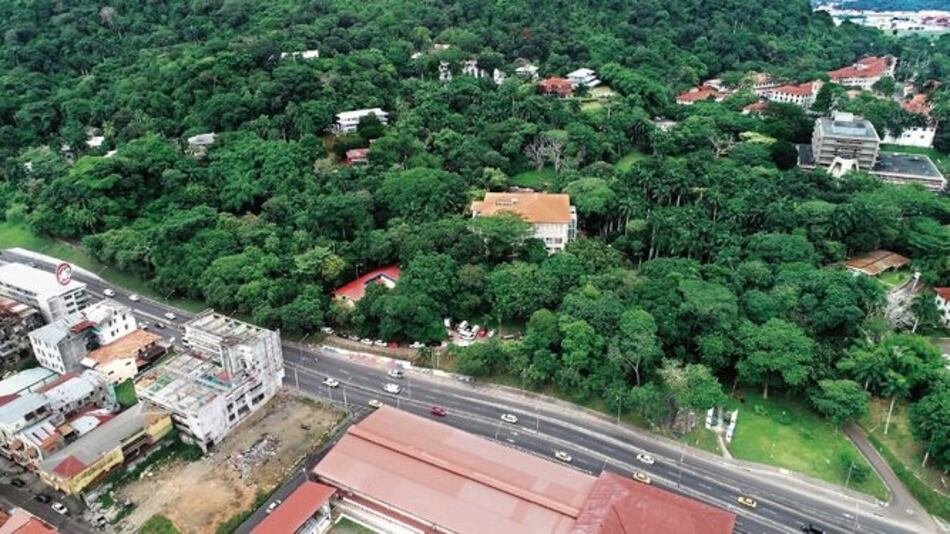 Área verde en Ancón, frente a nueva amenaza