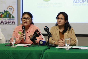 Caso Puerto Barú: secuestro preventivo de activos impacta operación de grupos ambientalistas