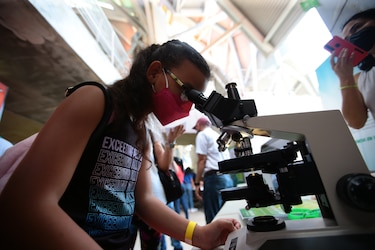 Otro tropiezo en educación: 72 escuelas de bachillerato en ciencias están sin laboratorios