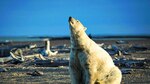 Lo que nos deja 2016 en ciencia