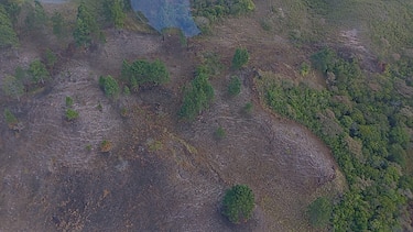 Incendio en La Yeguada fue sofocado en su totalidad, informan bomberos