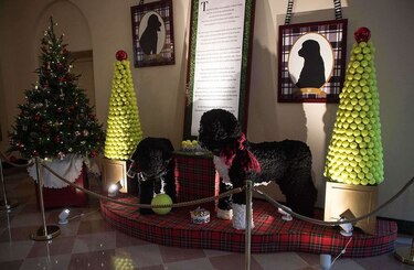Carolina Herrera y Humberto León engalanan la Casa Blanca por Navidad