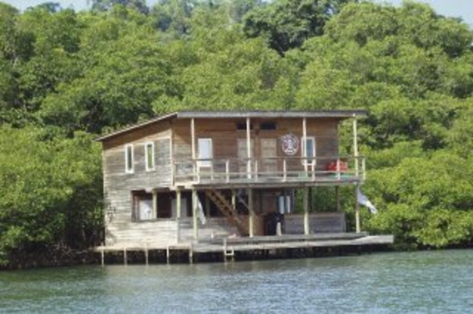 Un cementerio en el patio de Villa Cortez