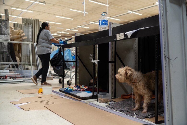 Un antiguo hipermercado se convierte en refugio de mascotas rescatadas en el sur de Brasil