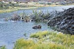 Ushuaia, historia y belleza austral