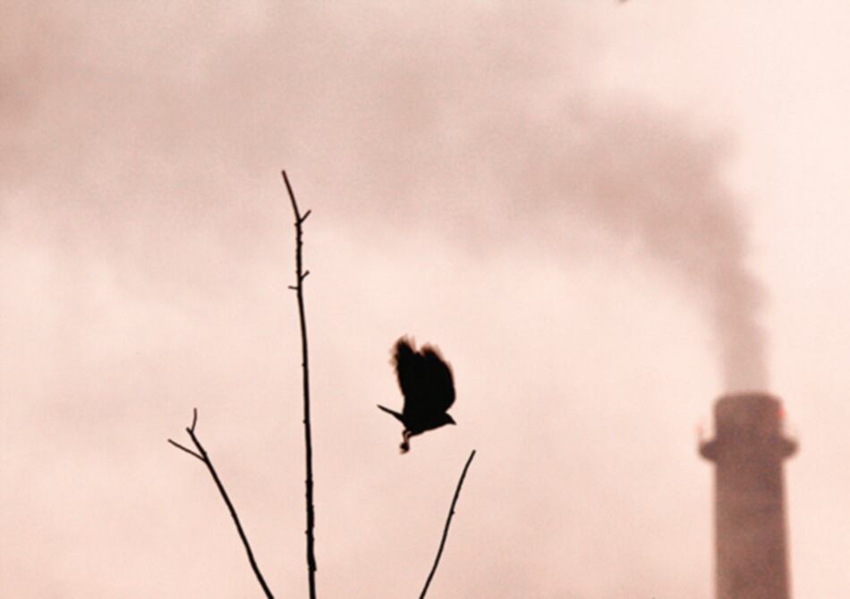 Presidente chileno pide reducir el 45% de las emisiones