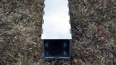 Realizan monitoreo de roedores en El Valle de Tonosí