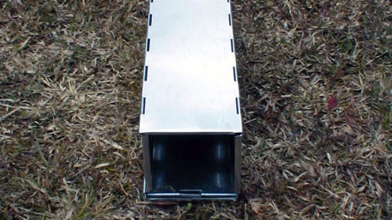 Realizan monitoreo de roedores en El Valle de Tonosí