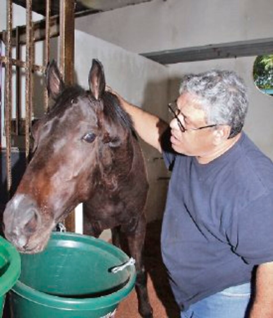 Caballos foráneos, en el coso hípico