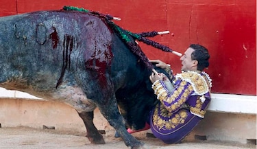 Torero 'Rafaelillo' es embestido y operado de urgencia