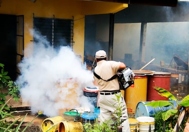 Dengue: un desafío que muestra su fuerza