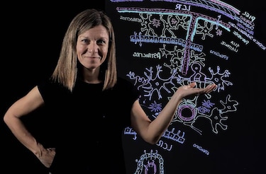 La trampa de la carga cognitiva: por qué estudiar más horas no siempre te ayuda a aprender más