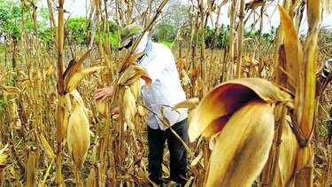 El encanto del campo santeño