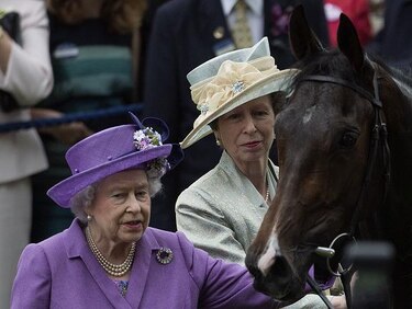 Un caballo de la reina Isabel II da positivo por morfina