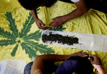 Uruguay empieza a regular el mercado de marihuana