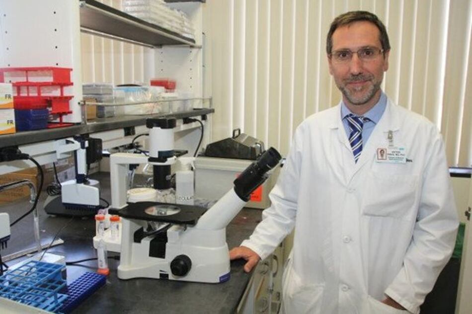 La inmunoterapia pronto será un tratamiento estándar contra el cáncer