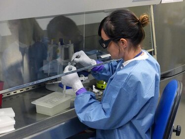 La OMS solo recibe un 13% de financiación para luchar contra el zika