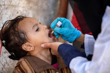 OPS insta a vacunarse contra la polio en las Américas ante riesgo de reaparición