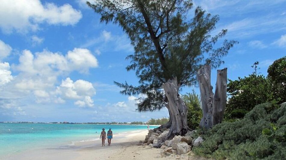 El Caribe tiene dos nuevos refugios para tiburones