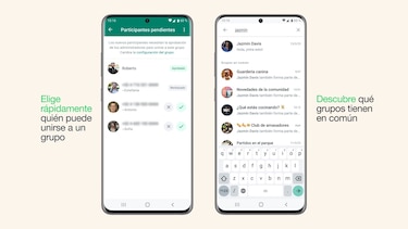 WhatsApp facilita ver qué grupos se tienen en común con otros contactos