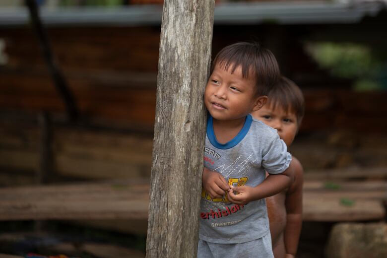 Arimae: La furia en tierras colectivas