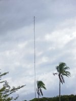 El arte de sacar energía al viento